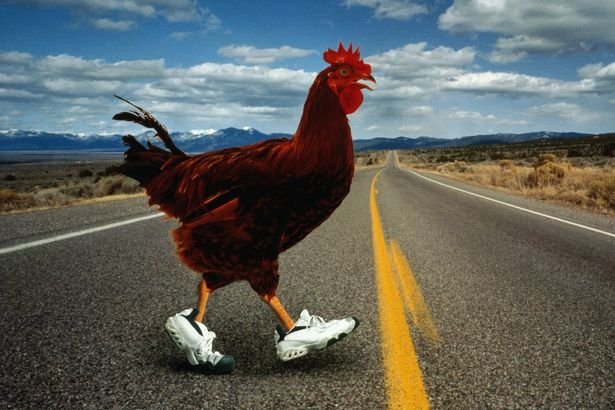Italy - chicken road online